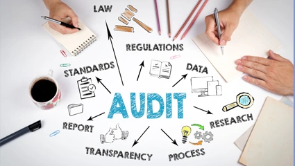 AUDIT AND ASSUARANCE
